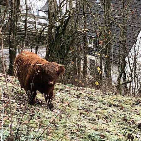 Ferienwohnung Koelbel Familienurlaub In Der Natur Schmallenberg Esterno foto