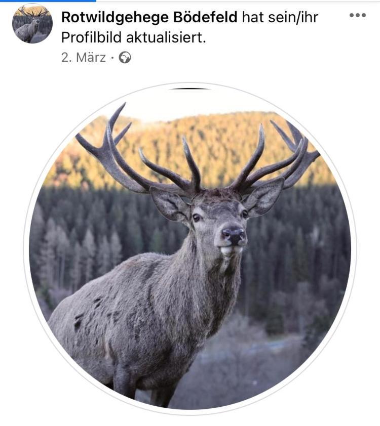 Ferienwohnung Koelbel Familienurlaub In Der Natur Schmallenberg Esterno foto