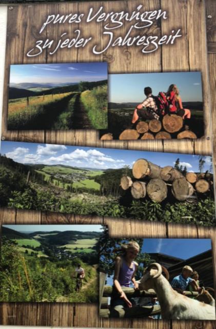 Ferienwohnung Koelbel Familienurlaub In Der Natur Schmallenberg Esterno foto