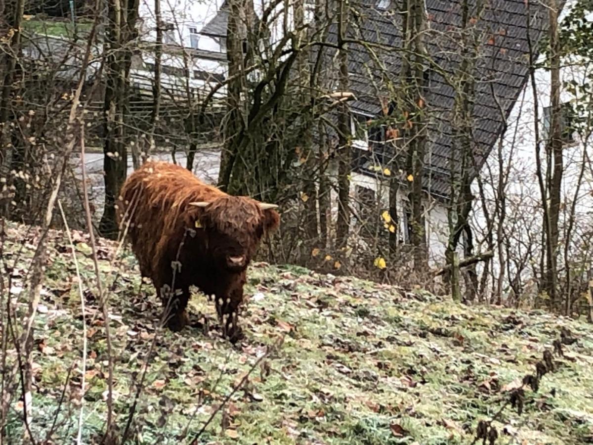 Ferienwohnung Koelbel Familienurlaub In Der Natur Schmallenberg Esterno foto
